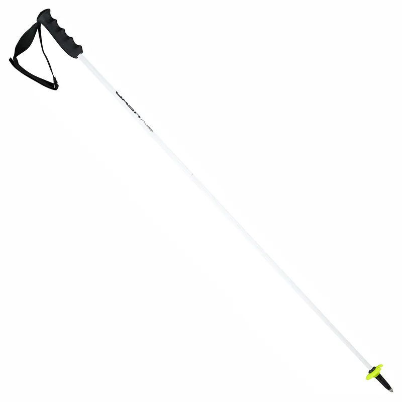 Bestseller HEAD Worldcup Rebels Carbon Skistöcke Racing