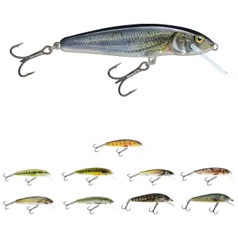 Salmo Minnow Wobbler Neue Kollektion
