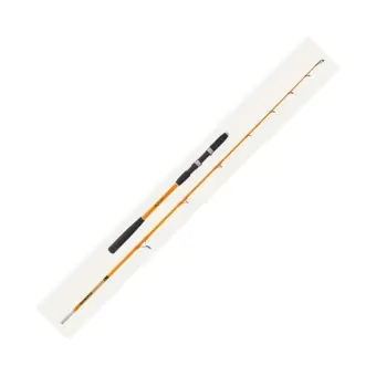 Sofort Bestellen Jenzi Meeresrute Seamaster Solid Pro Pilk and Jig