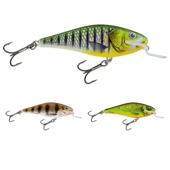 Top-Seller Salmo Executor Wobbler 12cm schwimmend Ltd. Edition