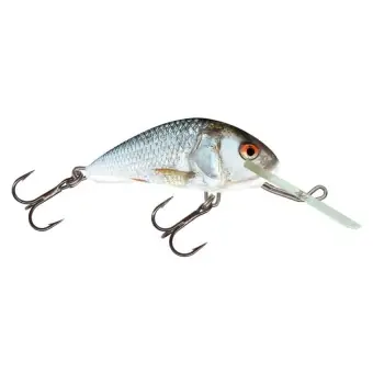 Begrenztes Angebot Salmo Hornet Wobbler hasel real dace RD